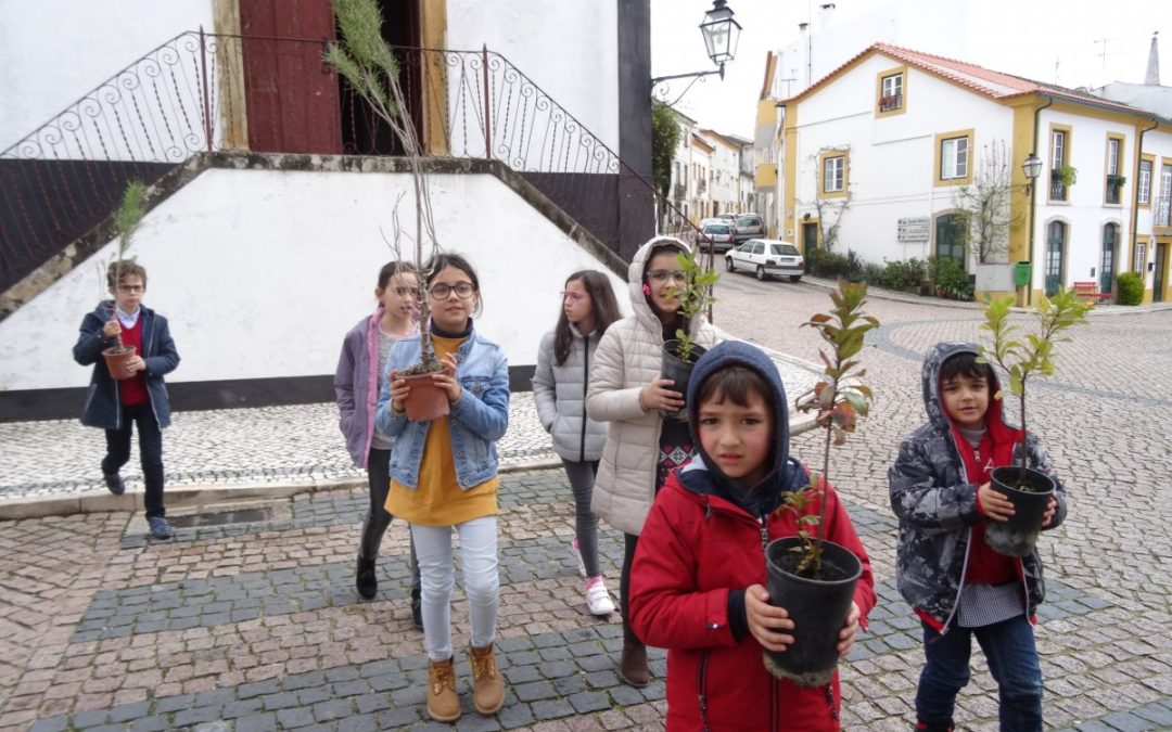 Entroncamento | alunos distribuíram árvores nas áreas ardidas da região