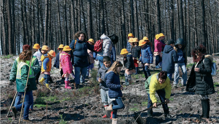 Crianças dos Capuchos ‘apadrinharam’ pinheiros no Dia das Florestas