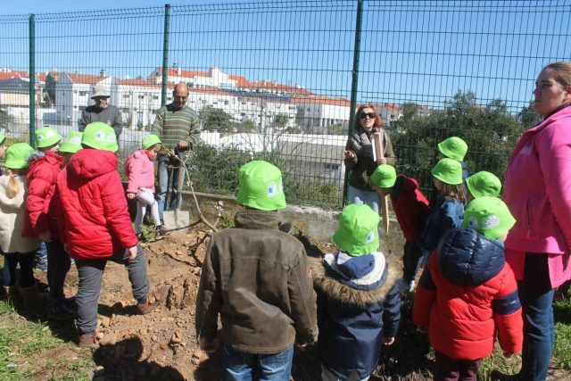 Gavião| alunos plantaram Amendoeiras, Freixos, Sobreiros e Carvalhos no dia da árvore
