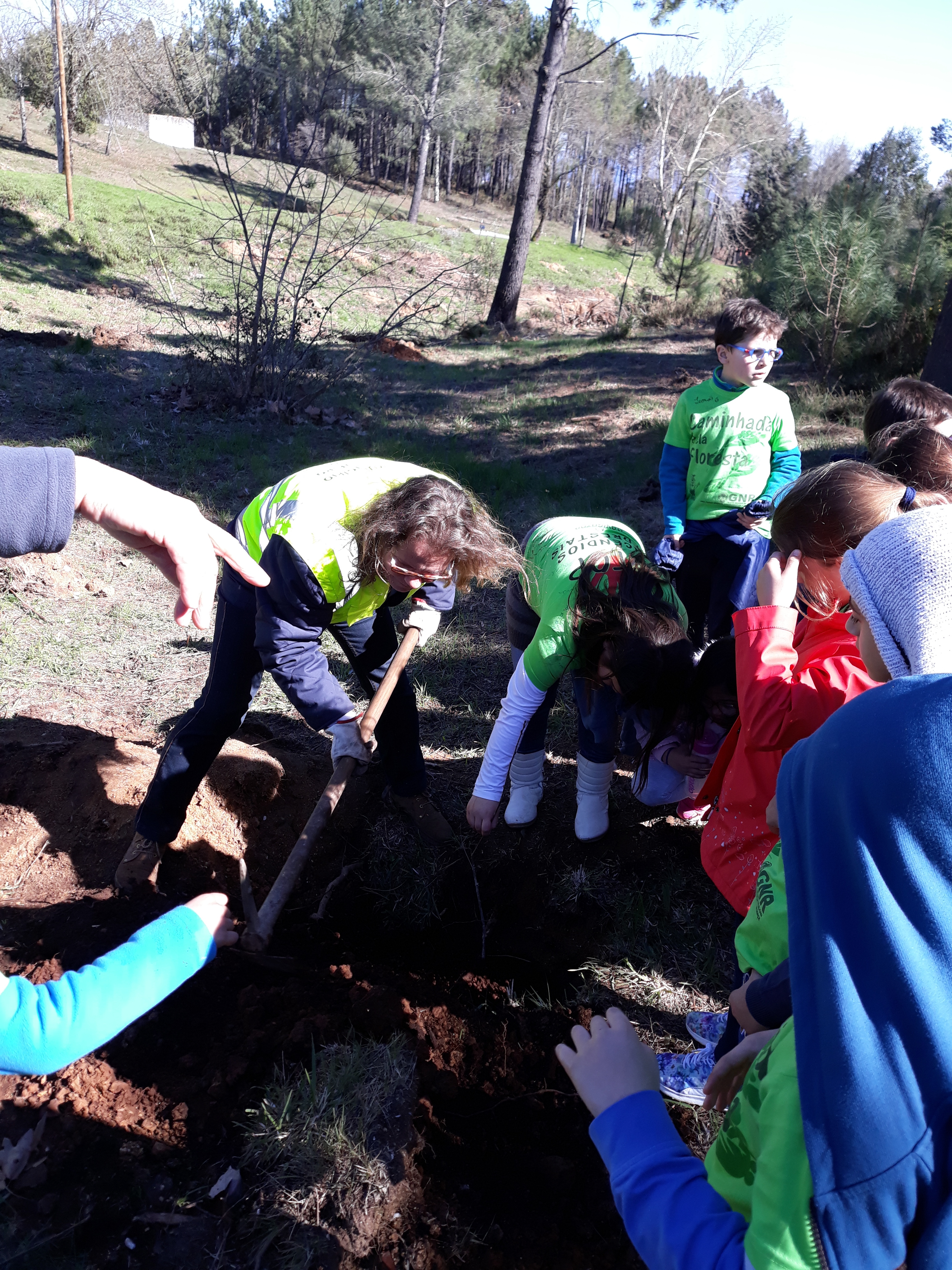 " O recomeço " - alunos e professores plantam árvores e sementes.
