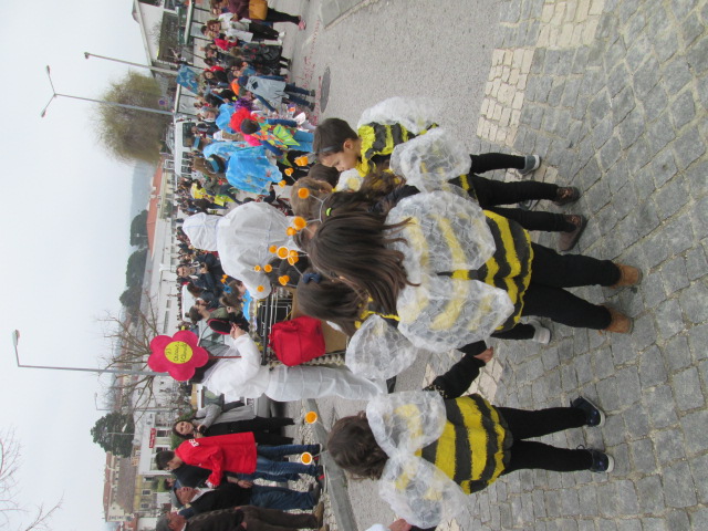 abelhas a desfilar